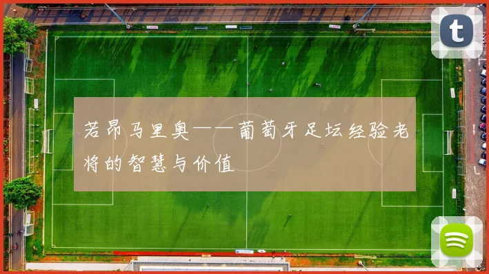 若昂马里奥——葡萄牙足坛经验老将的智慧与价值